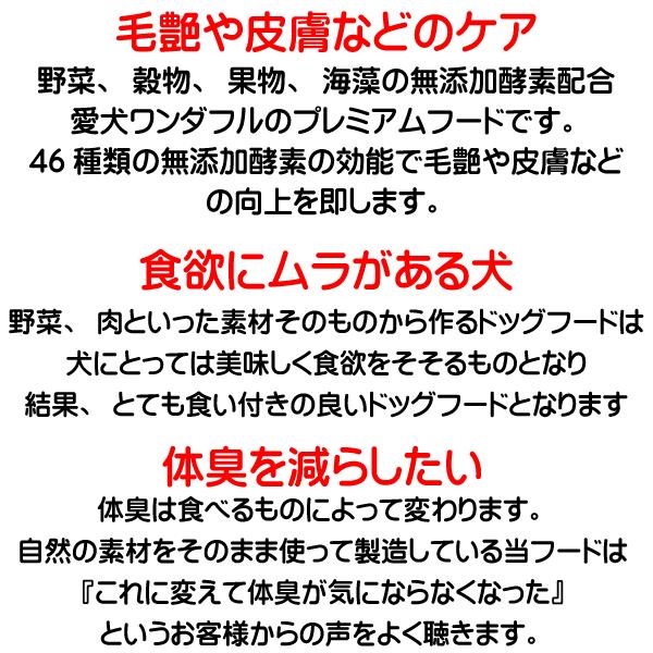国産 無添加 自然食 健康 こだわり食材 お米の ドッグフード 鶏肉タイプ 1.6kg 800ｇ 2個セット ドックフード 犬用全年 齢対応 完全栄養食の画像