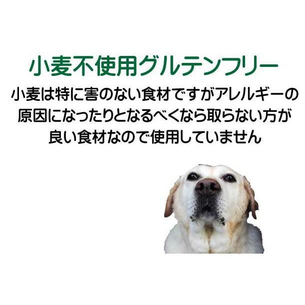 国産 無添加 自然食 健康 こだわり食材 お米のドッグフード 馬肉タイプ 800ｇ ４個セット 3 2kg ドックフード 犬用全年齢対応 O Uma 003 愛犬想いのドッグフードポチたま屋 通販 Yahoo ショッピング