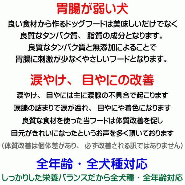 国産 無添加 自然食 健康 こだわり食材 お米の ドッグフード 馬肉タイプ 2.4kg 800ｇ 3個セット ドックフード 犬用 全年齢対応 完全栄養食の画像