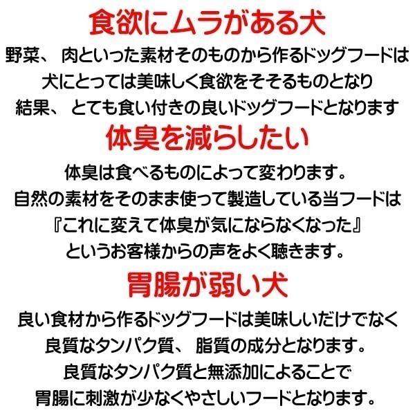 犬 ドッグフード 無添加国産 鹿肉 小型犬 シニア犬用ドライフード 愛犬ワンダフル 鹿肉タイプ 小粒 普通粒 750g 6個 全犬種対応_16