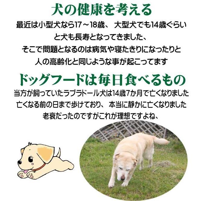 国産 無添加 自然食 健康 こだわり食材 愛犬ワンダフル ジビエ 鹿肉 馬肉タイプ 9.8kg 4.9kg 2個セット 小粒・普通粒 犬用 全年齢対応 完全栄養食｜potitamaya-y｜08