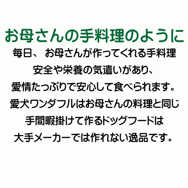 犬 ドッグフード 無添加国産 鶏肉 小型犬 シニア犬用ドライフード 愛犬ワンダフル 鶏肉タイプ 小粒 普通粒 750g 3個 全犬種対応の画像