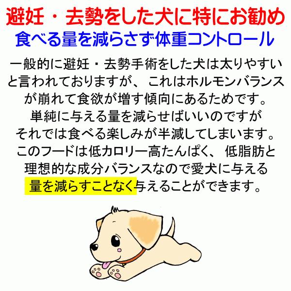 犬 ドッグフード 無添加国産 鶏肉 小型犬 シニア犬用ドライフード 愛犬ワンダフル 鶏肉タイプ 小粒 普通粒 750g 3個 全犬種対応の画像