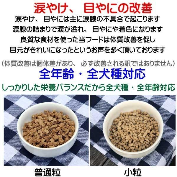 犬 ドッグフード 無添加国産 鶏肉 小型犬 シニア犬用ドライフード 愛犬ワンダフル 鶏肉タイプ 小粒 普通粒 750g 3個 全犬種対応の画像