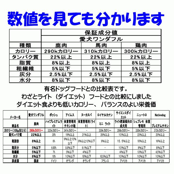 犬 ドッグフード 無添加国産 鶏肉 小型犬 シニア犬用ドライフード 愛犬ワンダフル 鶏肉タイプ 小粒 普通粒 750g 3個 全犬種対応の画像