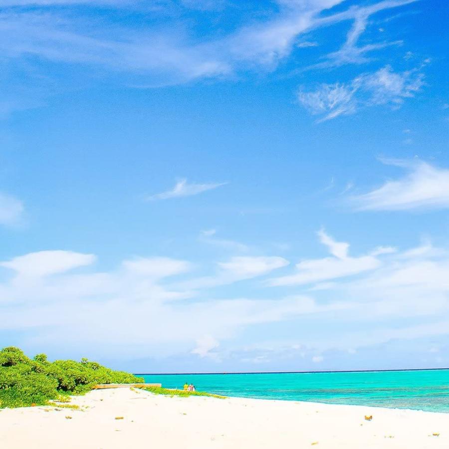 クラシック ビーズ アクセサリー道具 材料 エデンの貝殻海の贈り物 ワクワク いろんな大きな貝殻 スペシャル 詰め合わせ どっさり 約460g 25個セット S 13 Www Threeriversofs Com