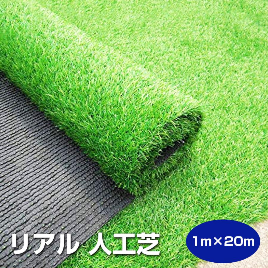 人気no 1 本体 人工芝 ロール リアル 芝生 人工芝シート ｍ ベランダ 庭 公式の Tv Creativetalentnetwork Com
