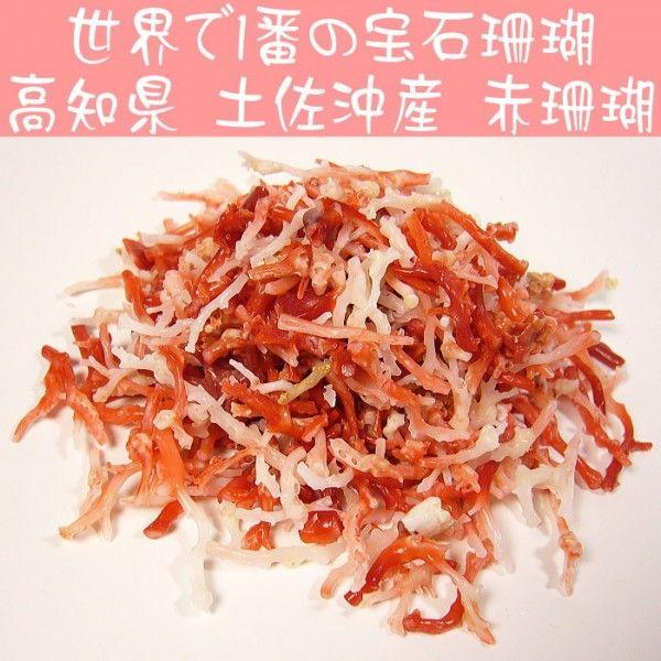 高知県産　赤珊瑚 小枝 さざれ （1グラム）の価格です 【ネコポス/ポスト投函】 CPman1