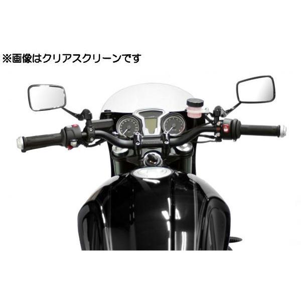 アクティブ ACTIVE ビキニカウル FRP製 黒ゲルコート仕上げ スモーク
