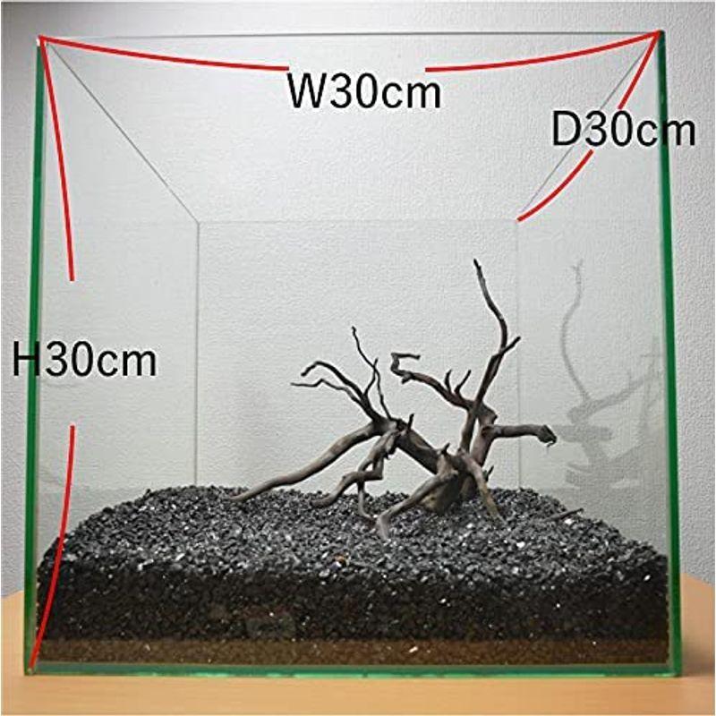 ３０ｃｍ水槽用 流木３本セット 黒色 Aquashop Wasabi 即納最大半額 水草水槽用流木 水草レイアウト水槽用黒枝流木 アクアリウム用