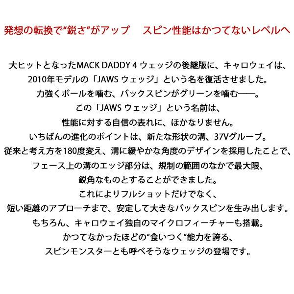 キャロウェイゴルフ メンズ ジョーズ マックダディ5 ツアーグレー ウェッジ ダイナミックゴールドスチールシャフト【19】｜powergolf-y｜04