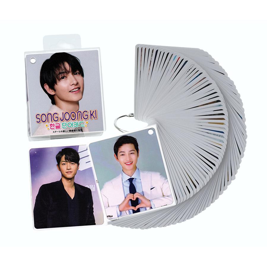 ソンジュンギ グッズ 韓国語 単語 カード 63枚入 + ケース付 : スター