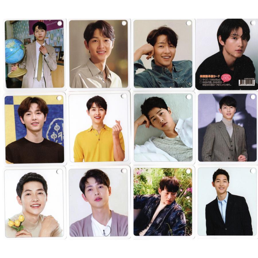 ソンジュンギ グッズ 韓国語 単語 カード 63枚入 + ケース付 : スター