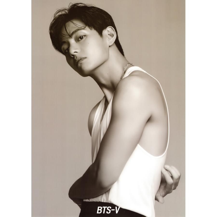 BTS V テテ グッズ  ポスター 12枚 (A3サイズ) ＋ ステッカー セット 13点セット |  | 03