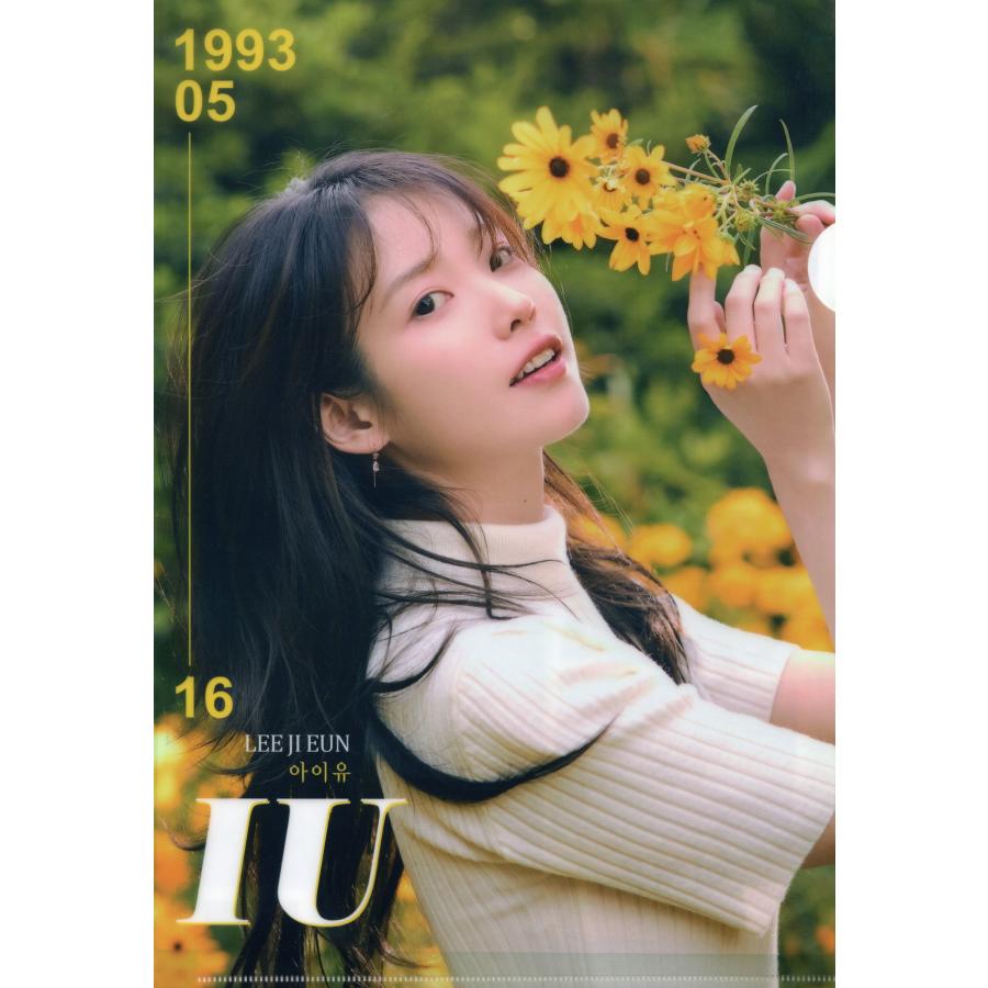 IU グッズ IU アイユー グッズ グラフィック クリアファイル A4サイズ : スター