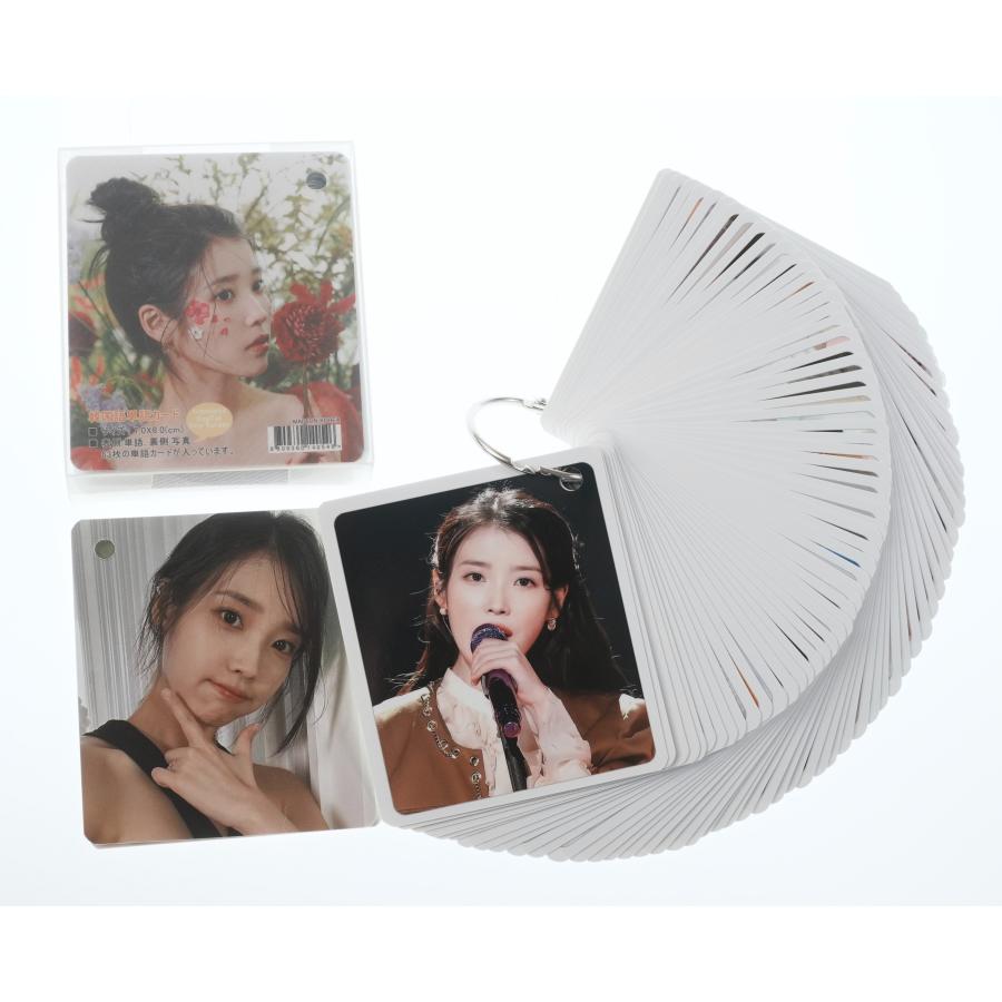 IU アイユー グッズ 韓国語 単語カード 単語帳 63枚入 + ケース