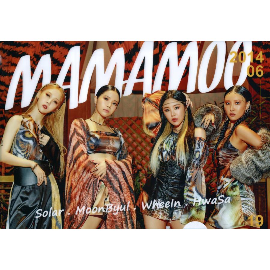 MAMAMOO ママムー グッズ クリアファイル A4サイズ K-POP | 