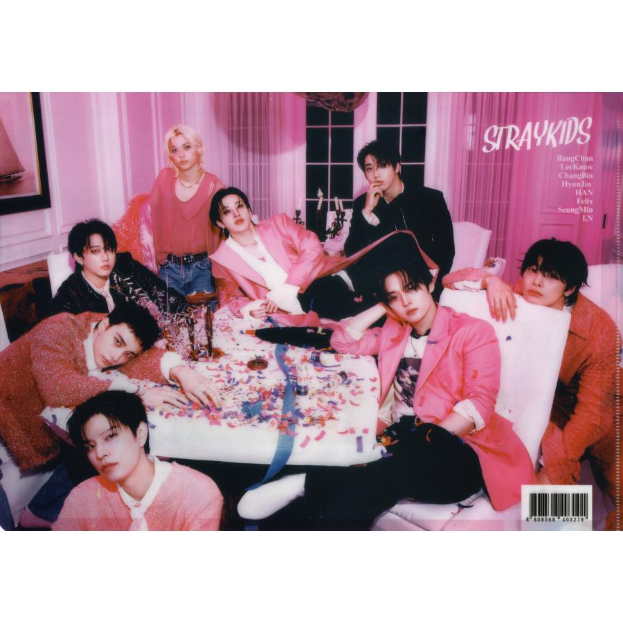 stray kids ストレイキッズ グッズ クリアファイル A4サイズ 新作写真 |  | 01