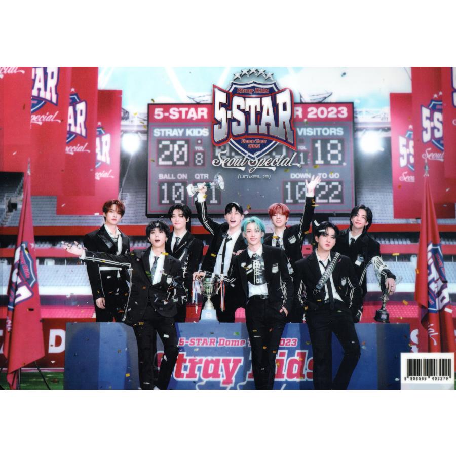 stray kids ストレイキッズ グッズ クリアファイル A4サイズ K
