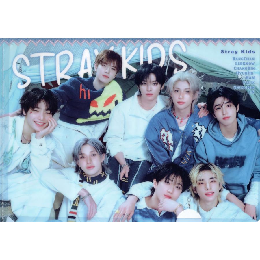 stray kids ストレイキッズ グッズ クリアファイル A4サイズ : スター