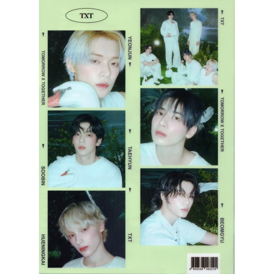 TXT グッズ グラフィック クリアファイル A4サイズ K-POP : スター