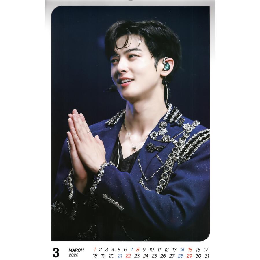 チャウヌ グッズ 大判 壁掛け カレンダー 2026年 (令和8年) +