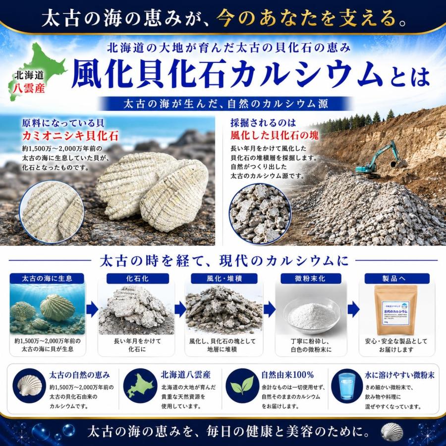 最新 北海道の八雲 風化貝ソマチッド粉末 『古代のカルシウム』240g