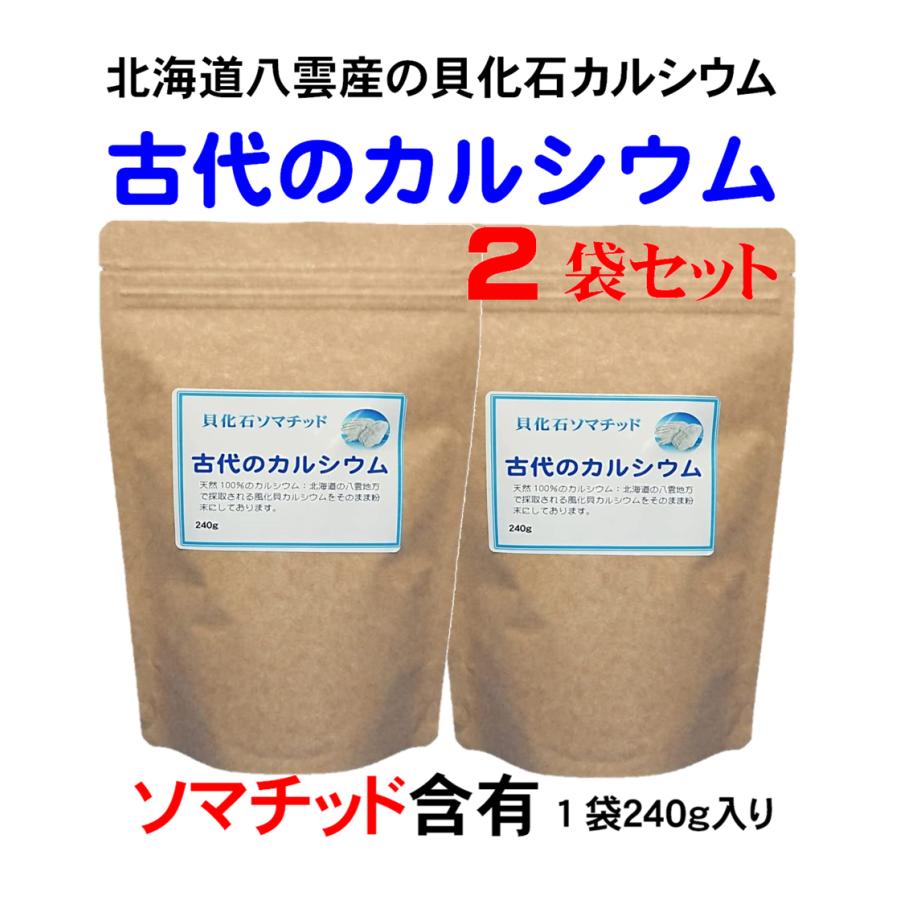 【新品未開封‼︎】古代ソマチッド 粉100g×3 (株式会社ソマチ) 新品未開封‼︎】古代ソマチッド 粉100g (株式会社ソマチ) - メルカリ