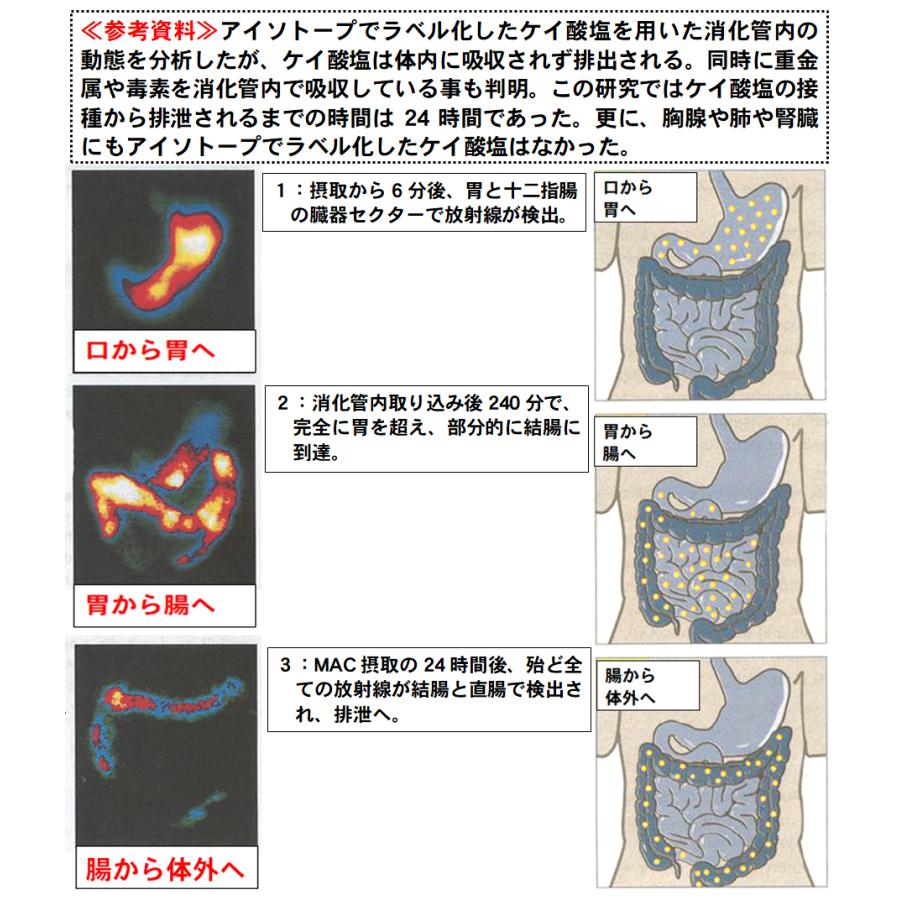 シリカ水 ケイ素水 が自宅で簡単に作れ シリカ ケイ素 を豊富に摂取できる微粉末タイプの シリカシンターパウダー１袋(500回分) 1回0.2gでOK！ 抗ウイルス 国産｜powersilex-store-2｜10