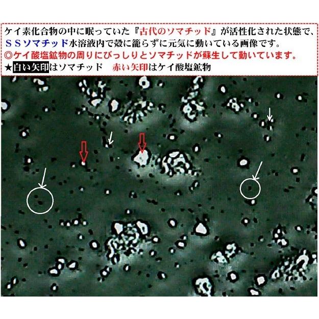 ケイ素とソマチッドが含有された SS活性化ソマチッド3袋 〜1億3000万年の蘇生ロマン！〜(1袋250g)/1日1gでOK！1袋250日分★割引で1日当り16.7円★古来食で有名！｜powersilex-store-2｜02