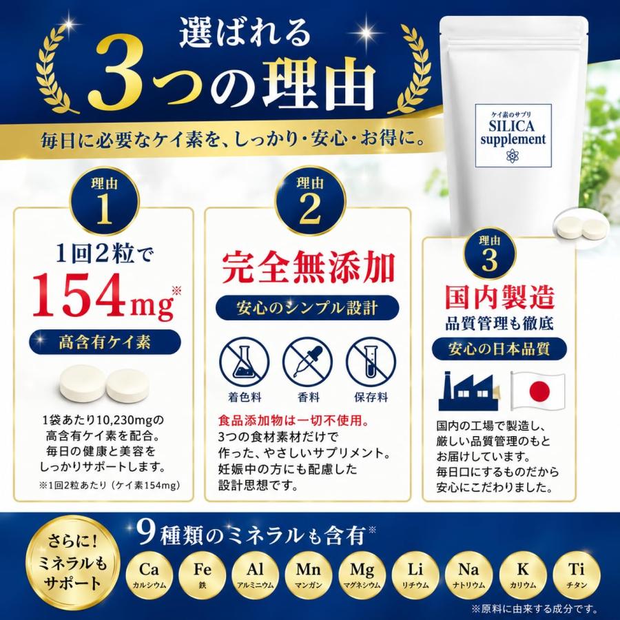 最新版 ケイ素のサプリ 2袋/1ヶ月分62粒入×2【国内製造】食品素材100