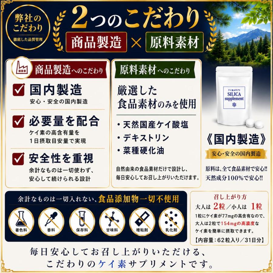 最新版 ケイ素のサプリ 2袋/1ヶ月分62粒入×2【国内製造】食品素材100
