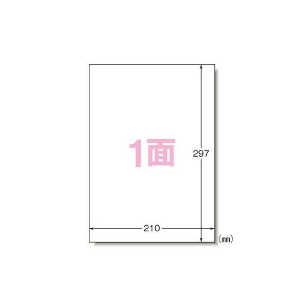 エーワン PPC（コピー）ラベル 500枚入 28762 500枚