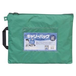 （まとめ）ミワックス キャリーバッグ CB-500-G B4 マチ無 緑〔×3セット〕