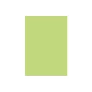 (業務用2セット) 北越製紙 カラーペーパー/リサイクルコピー用紙 〔B5 500枚×5冊〕 日本製 グリーン(緑)