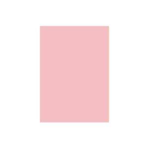 (業務用2セット) 北越製紙 カラーペーパー/リサイクルコピー用紙 〔B5 500枚×5冊〕 日本製 ピンク