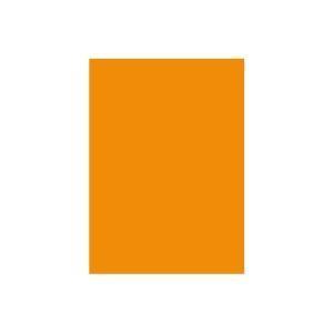 (業務用2セット) 北越製紙 カラーペーパー/リサイクルコピー用紙 〔B5 500枚×5冊〕 日本製 オレンジ