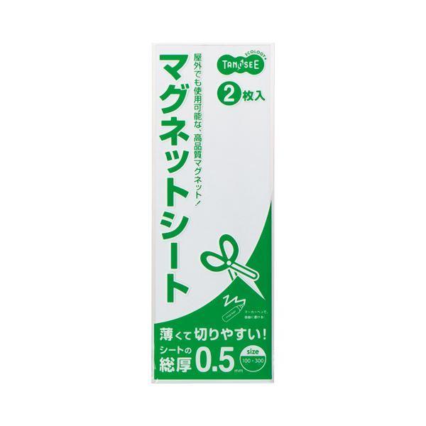 （まとめ） TANOSEE マグネットカラーシート ライト 300×100×0.5mm 白 1セット（20枚：2枚×10パック） 〔×2セット〕