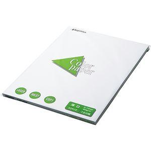 （まとめ） 長門屋商店 Color Paper A3 厚口 白 ナ-1301 1冊（100枚） 〔×4セット〕