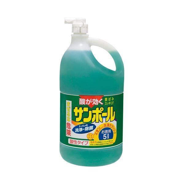 （まとめ） 大日本除蟲菊 サンポール 3L〔×10セット〕