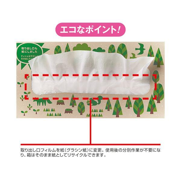 王子ネピア ネピア ネピeco ティシュ200組/箱 1セット（60箱：5箱×12