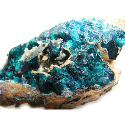 翠銅鉱　ダイオプテーズ　結晶　ナミビア産 翠銅鉱（ダイオプテーズ） ナミビア産 ｜石の販売専門店【vec