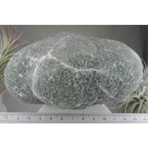 【☆爆レア】コロンビア産『ブルーターラクォーツ』（リーベカイト入り水晶） ☆爆レア】コロンビア産『ブルーターラクォーツ』（リーベカイト入り