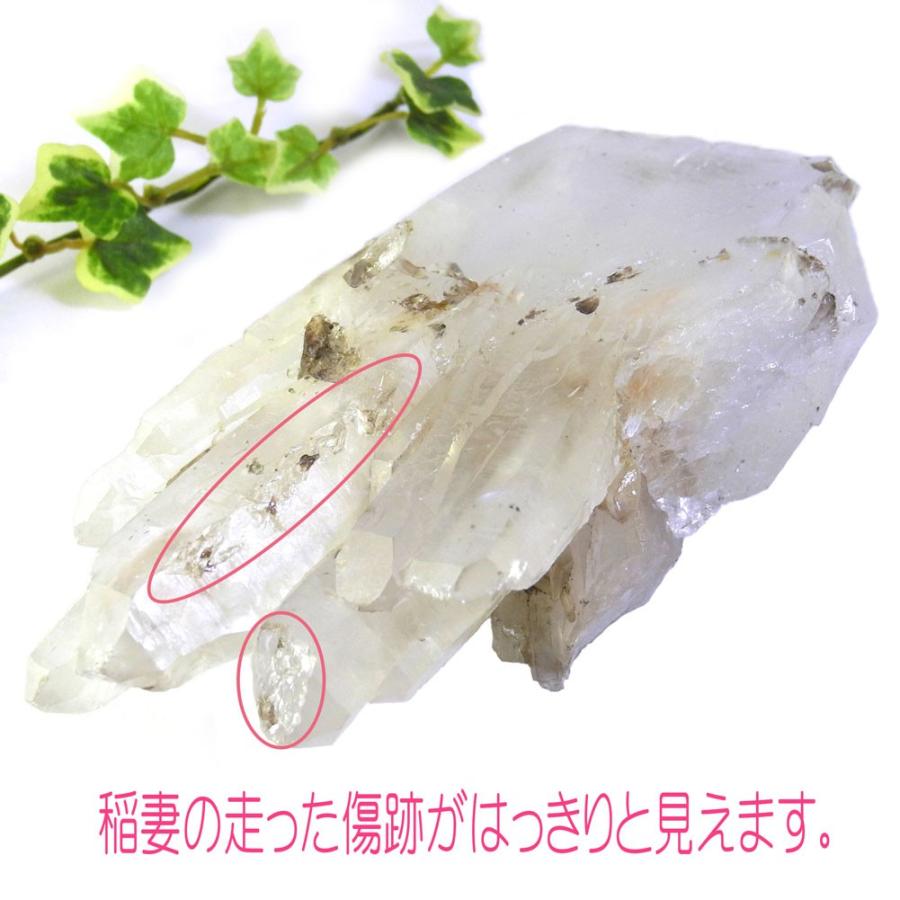 ライトニングクォーツ クラスター 雷水晶 マスタークリスタル 1点もの 現品撮影 LNC-125の画像