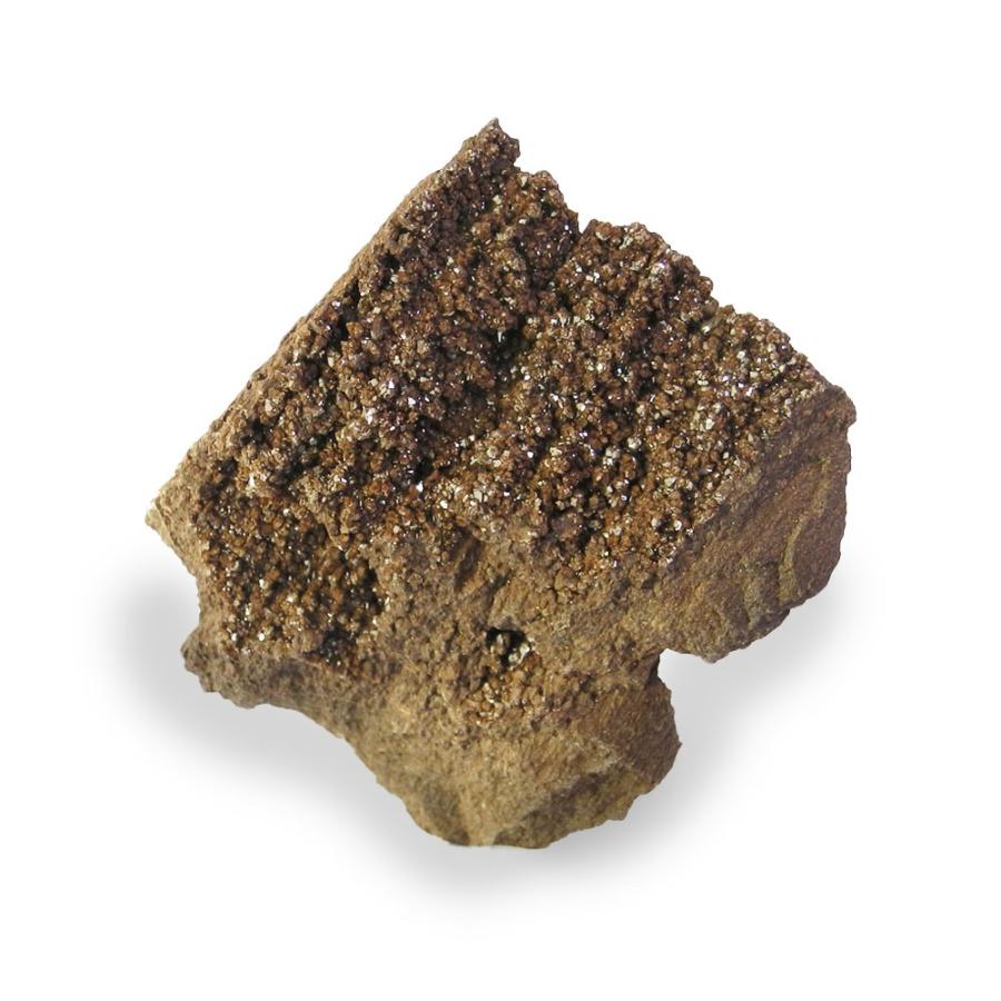 クォーツ オン ペトリファイドウッド 原石 産地 ドイツ Petrified 珪化