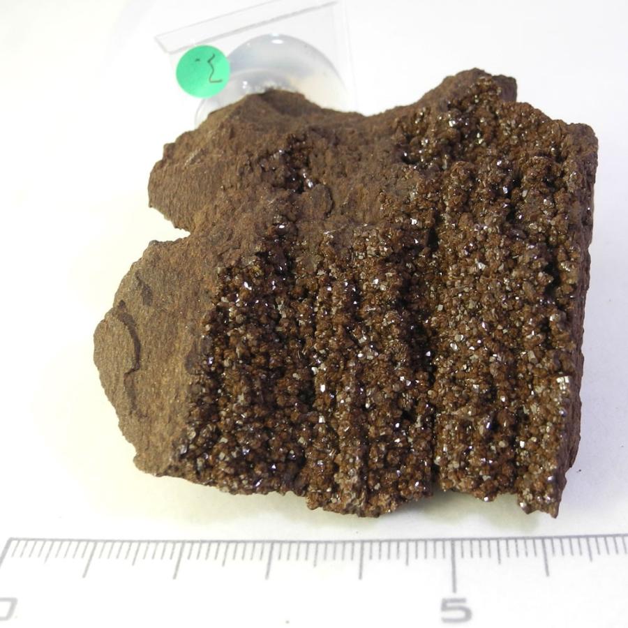 クォーツ オン ペトリファイドウッド 原石 産地 ドイツ Petrified 珪化