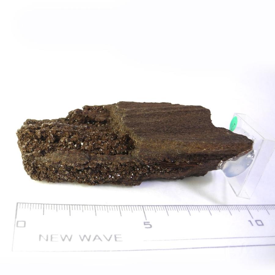 クォーツ オン ペトリファイドウッド 原石 産地 ドイツ Petrified 珪化