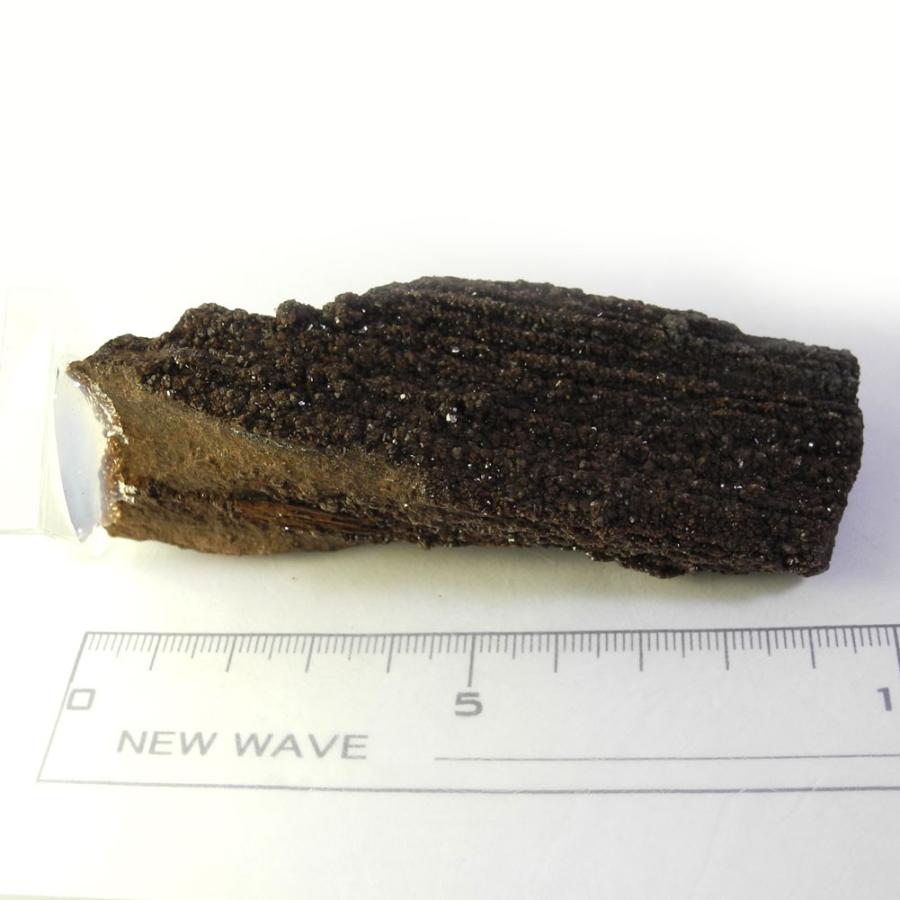 クォーツ オン ペトリファイドウッド 原石 産地 ドイツ Petrified 珪化