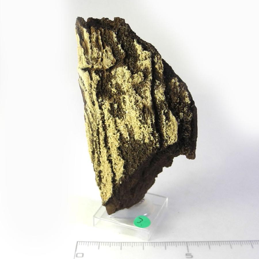 クォーツ オン ペトリファイドウッド 原石 産地 ドイツ Petrified 珪化