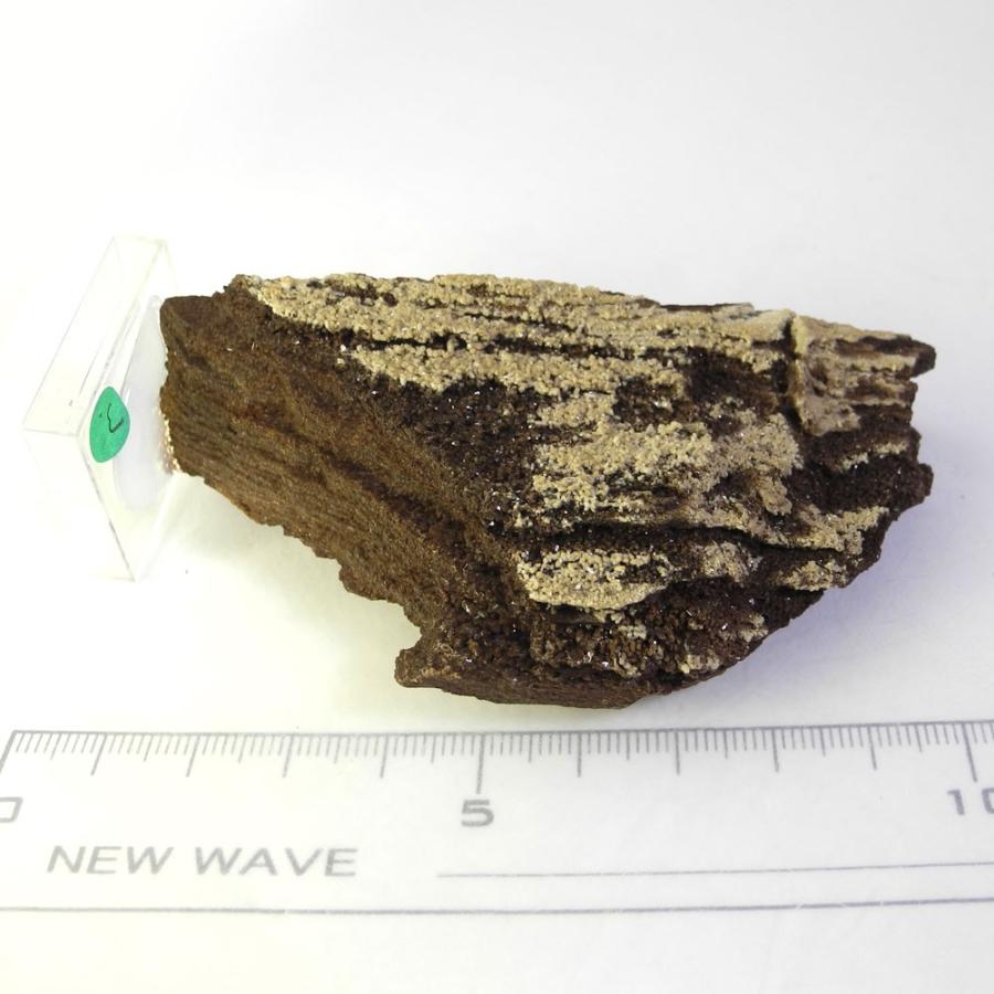 クォーツ オン ペトリファイドウッド 原石 産地 ドイツ Petrified 珪化